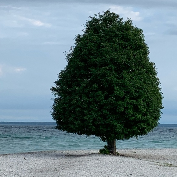 Meet your Posher, The - Picture 1 of 1